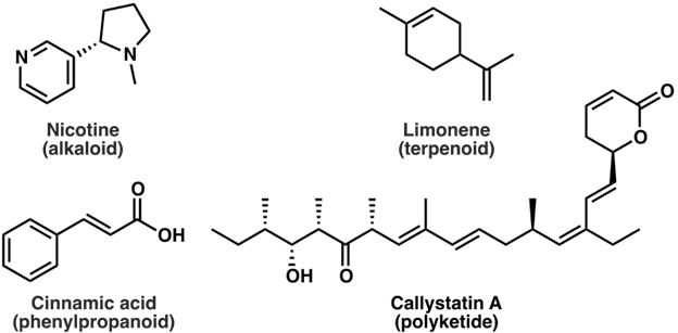 What are the different classes of natural products and their functions?